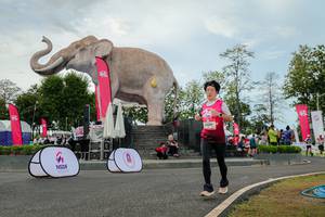 BIB: 
                            <button type="button" onclick="openModal(26528782)" class="btn btn-primary btn-sm float-right btn-popup" data-toggle="modal" data-target=".modal-high-quality">
                        <i class="fas fa-shopping-cart"></i> Add to Cart
                    </button>
                                            <button type="button" onclick="isThisMe(26528782, true)" class="btn btn-success btn-sm float-right btn-popup btn-isme hidden" data-toggle="tooltip" data-placement="bottom" title="นี่คือรูปของคุณใช่ไหม คลิกที่นี่เพื่อเอาเข้าอัลบั้ม">
                        <i class="fas fa-plus"></i> Add to album
                    </button>
                    <button type="button" onclick="isThisMe(26528782, false)" class="btn btn-warning btn-sm float-right btn-popup btn-isnotme hidden">
                        <i class="fas fa-ban"></i> Remove from album
                    </button>